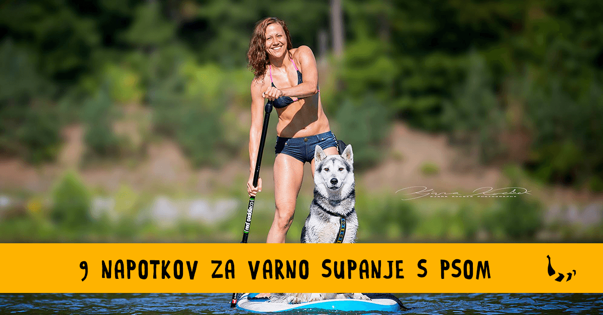 9 napotkov za varno supanje s psom - Bananaway