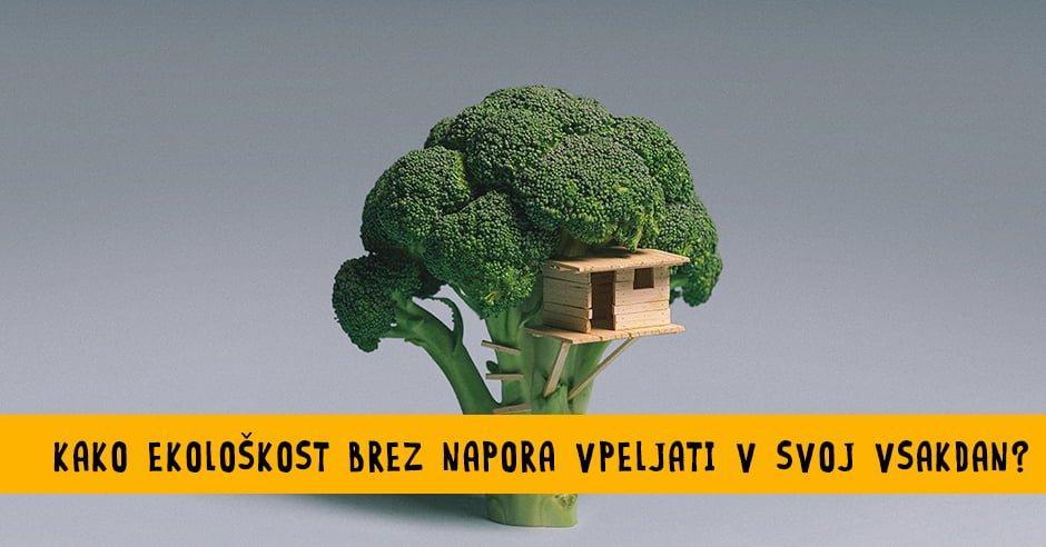 Ideje, kako z enostavnimi potezami postaneš še bolj ekološki/a - Bananaway