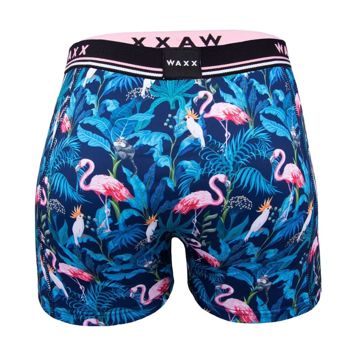 Spodnje hlače Waxx Flamingo, moške od zadaj