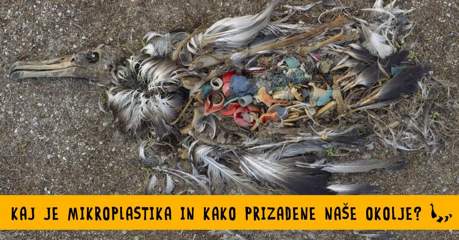 Mikroplastika: kaj je in kako prizadene naše okolje? - Bananaway