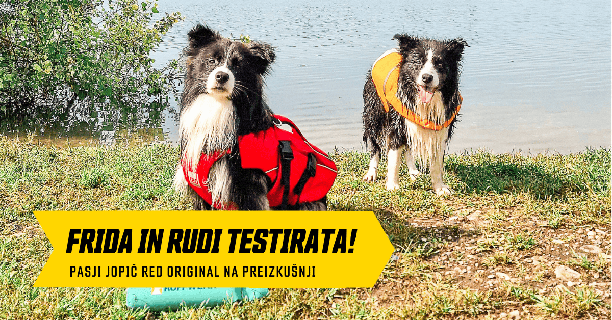 Kateri plavalni jopič za psa izbrati? - Bananaway