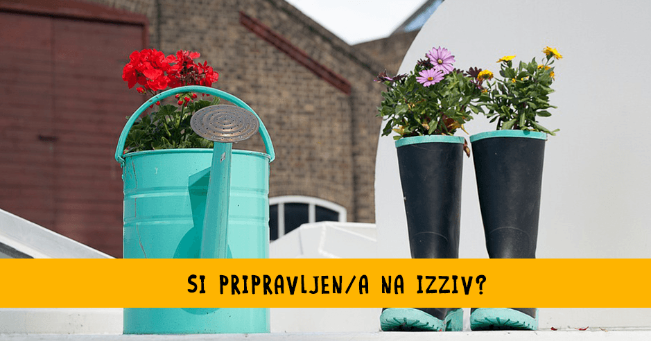 Sprejmi izziv: Zero waste za en dan! - Bananaway