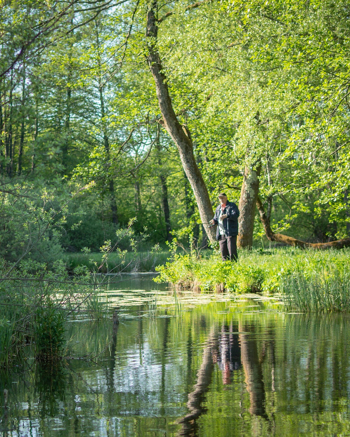 Reka Rinža — slika 1