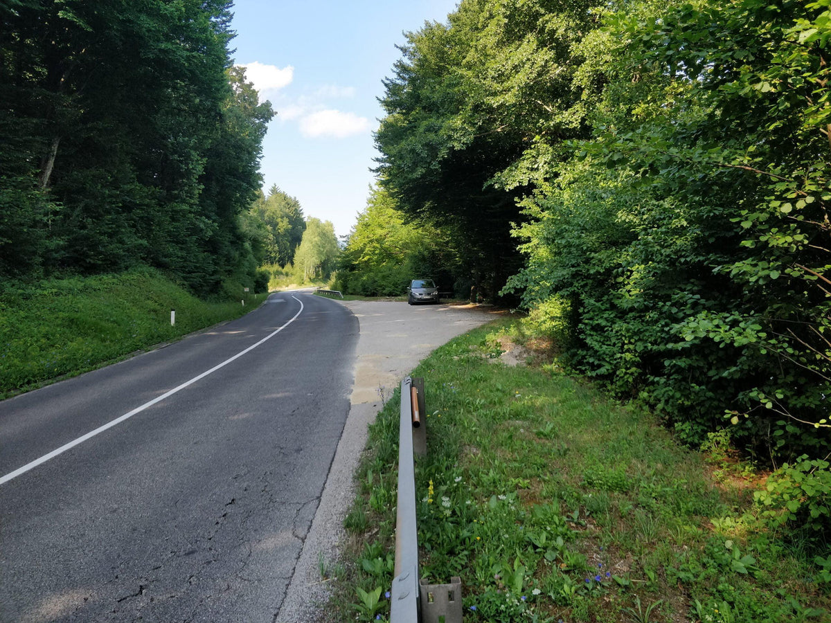 Srebrniče ob Krki — slika 1