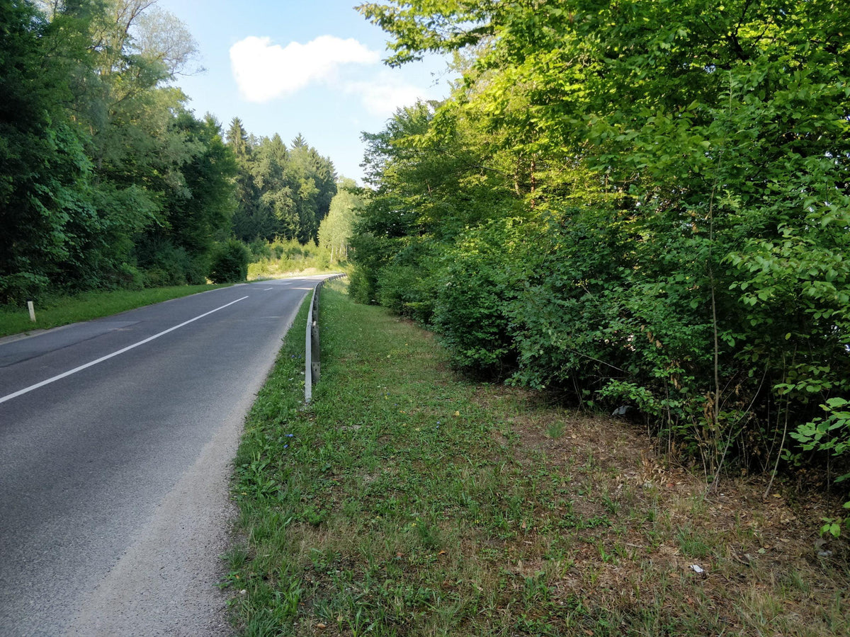 Srebrniče ob Krki — slika 2