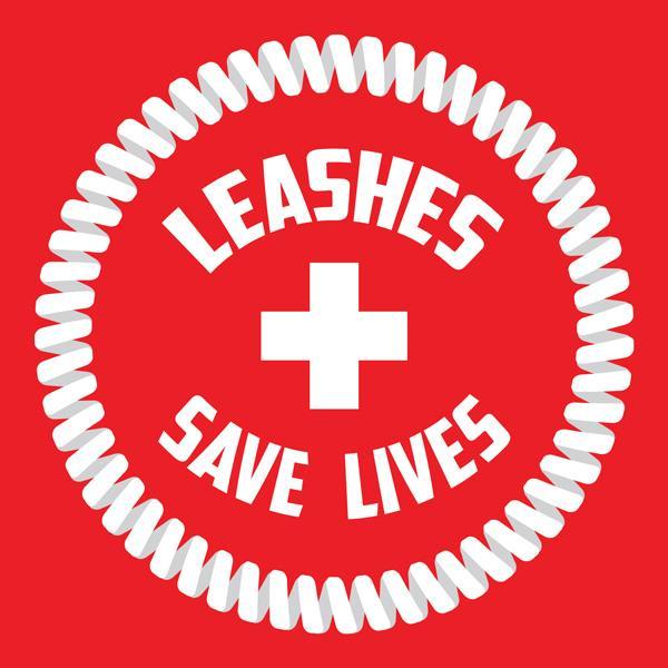 Varnostna vrvica za sup Red Paddle Co