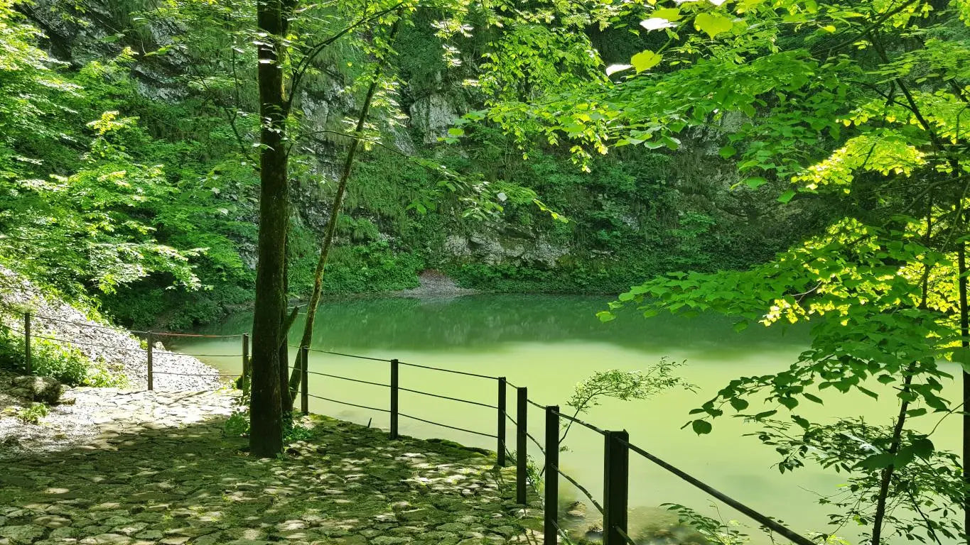 Knjiga The Slovenia Lakes