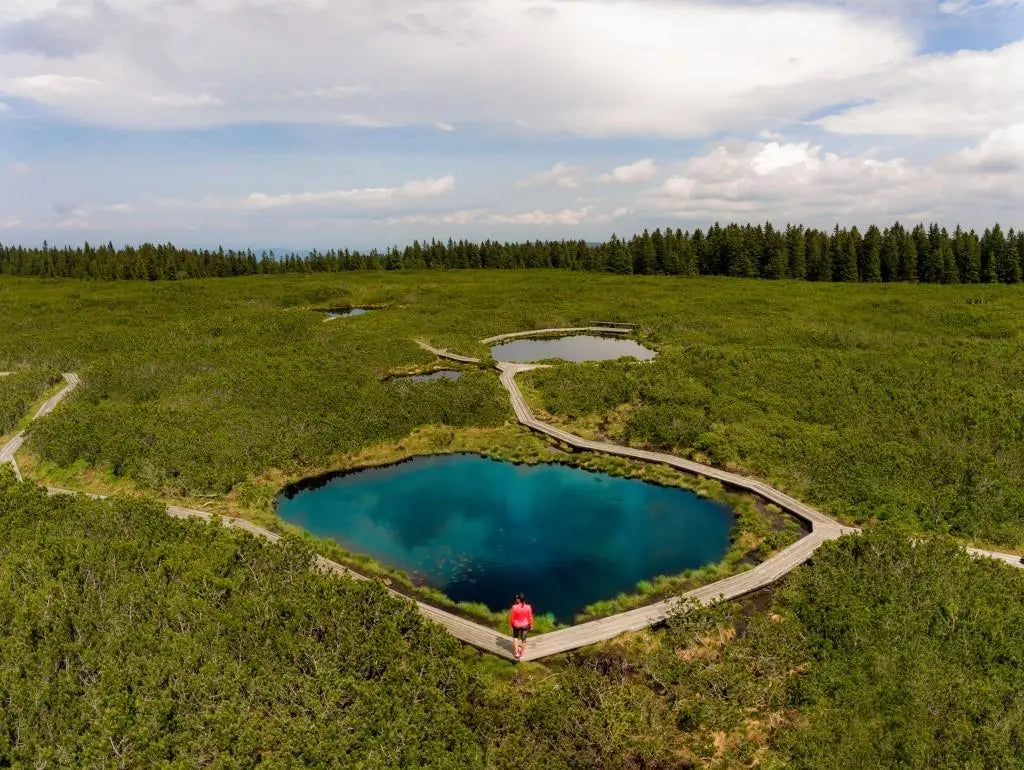 Knjiga The Slovenia Lakes