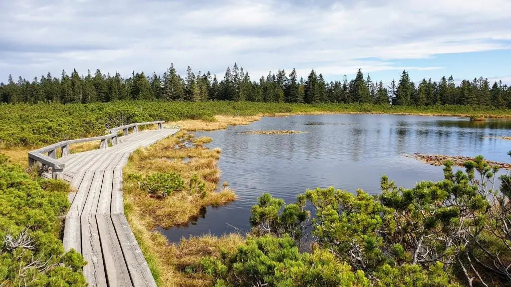 Knjiga The Slovenia Lakes