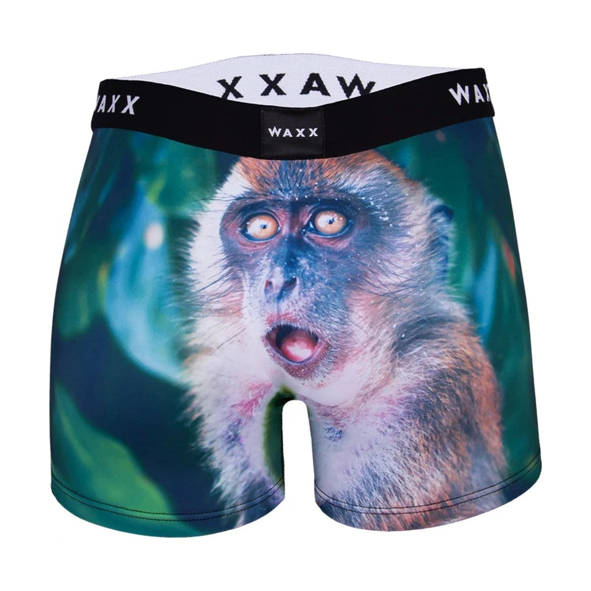 Spodnje hlače Waxx Swamp, moške od zadaj